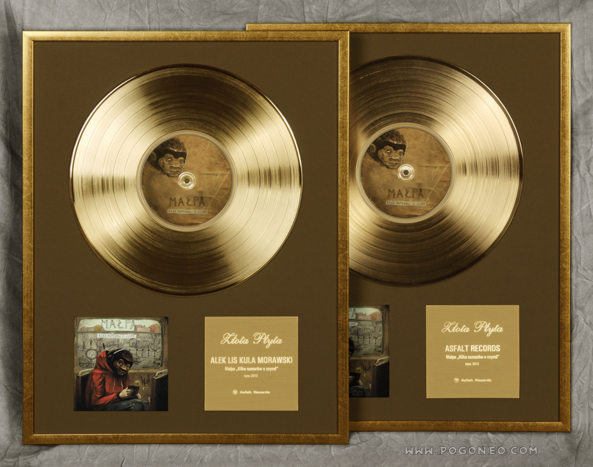 golden records vinyl cd converter review